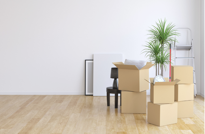 removal boxes